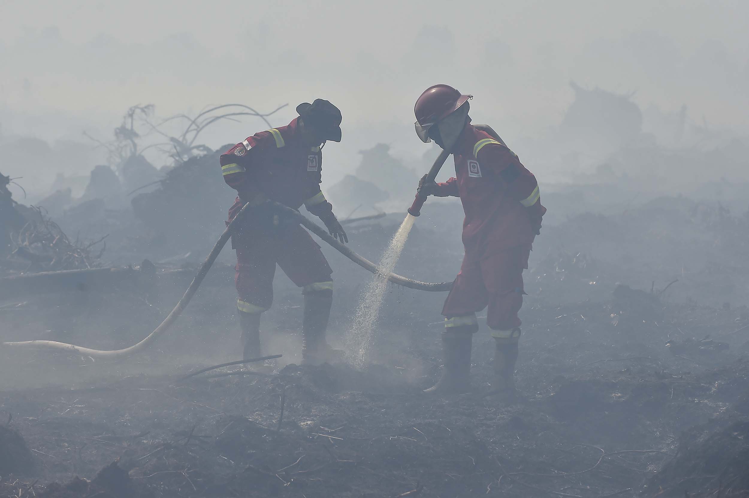 7 Daerah di Sumsel Sudah Siaga Darurat Karhutla, Muratara Menyusul dengan 166 Hotspot dan 16 Kebakaran