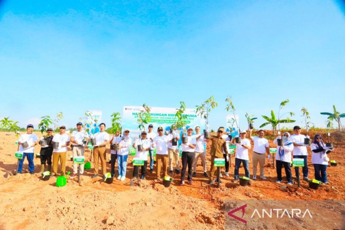 Pelindo Tanam 2.500 Pohon di TPA Basirih Banjarmasin, Target Wariskan Udara Bersih untuk Generasi Mendatang