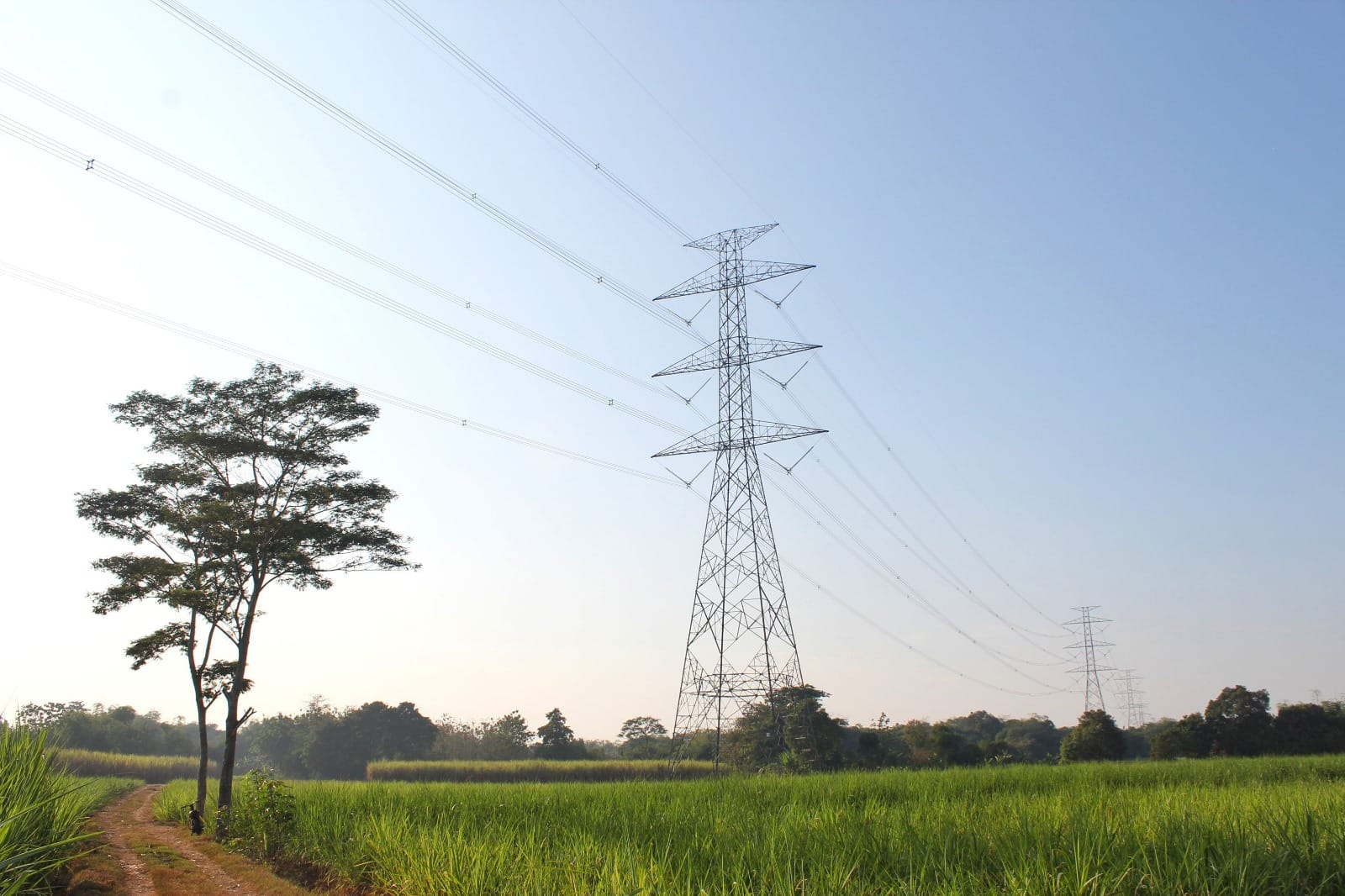 Tarif Listrik Pelanggan Non-subsidi PLN tak Naik Juli-September 2026, Pemerintah Jaga Daya Beli