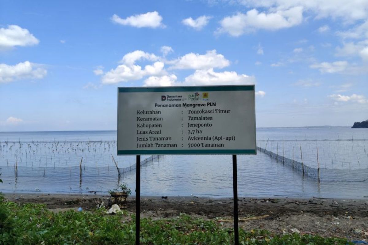PLN UIP Sulawesi Tanam 5.401 Mangrove di Pesisir Jeneponto, Pulihkan 2,7 Hektare Lahan Tambak Terdegradasi