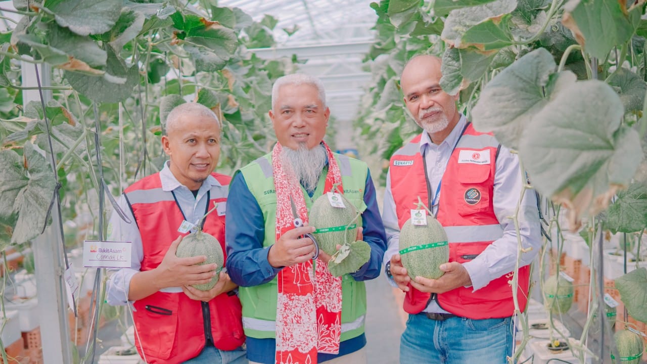 PPA Bangun Green House IoT di Muara Enim, Target Panen 20 Ton Melon Premium per Tahun