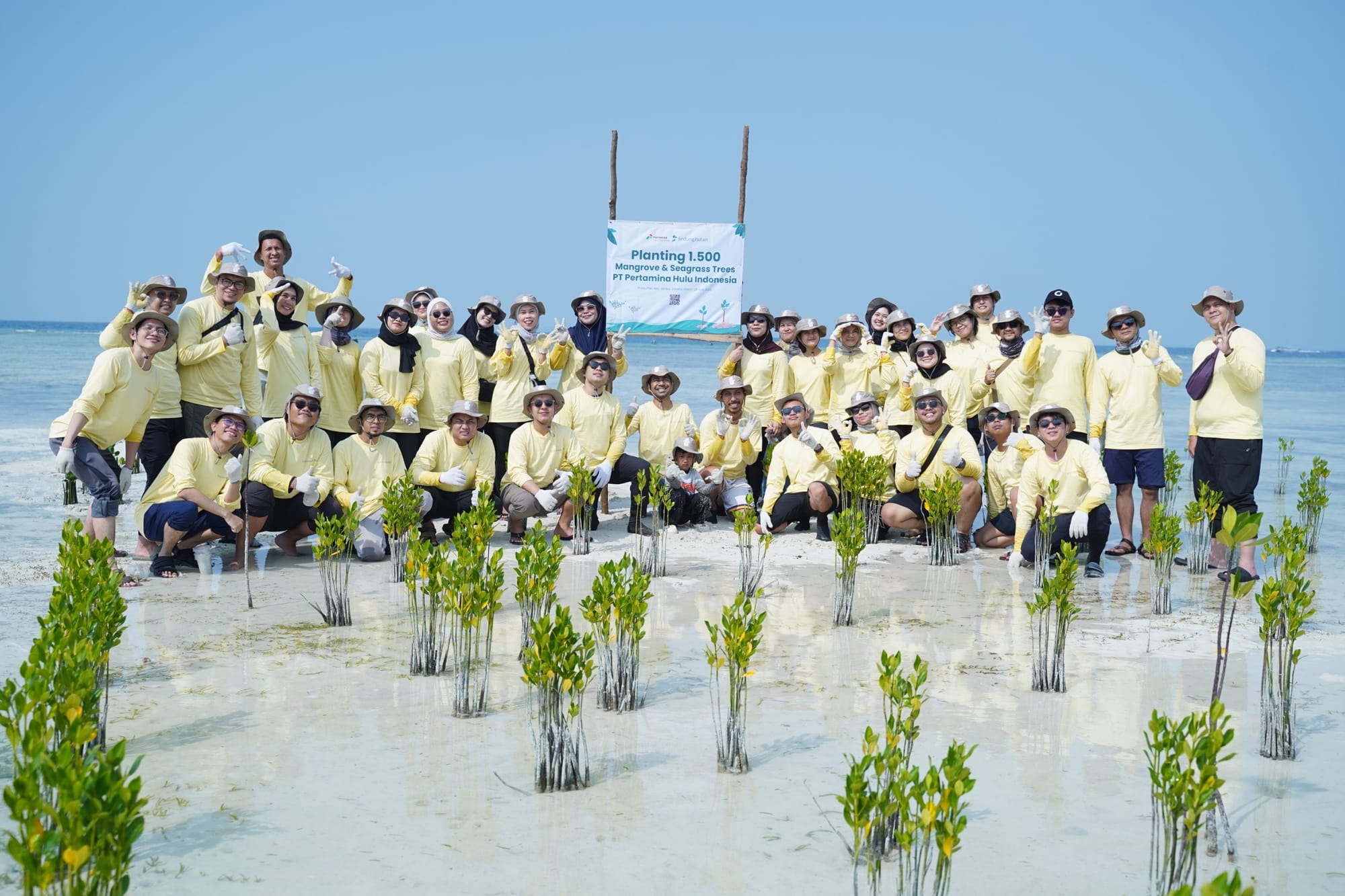 Pertamina Tanam 1.000 Mangrove dan 500 Lamun di Pulau Pari, Warga Rasakan Langsung Manfaatnya