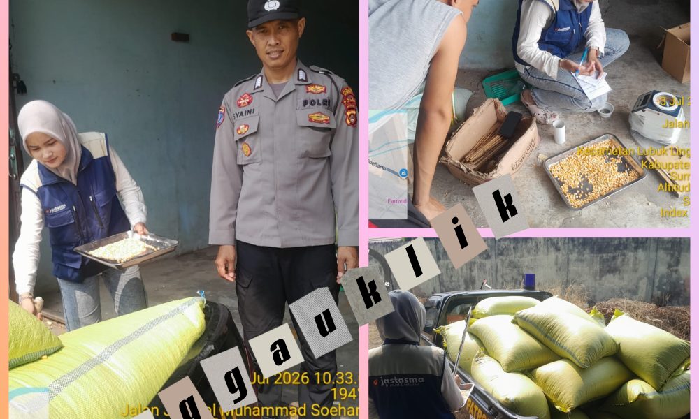 Kawal Panen Jagung Petani Masuk Bulog, Polsek Jayaloka Pastikan Harga Gabah Tak Jatuh di Musi Rawas