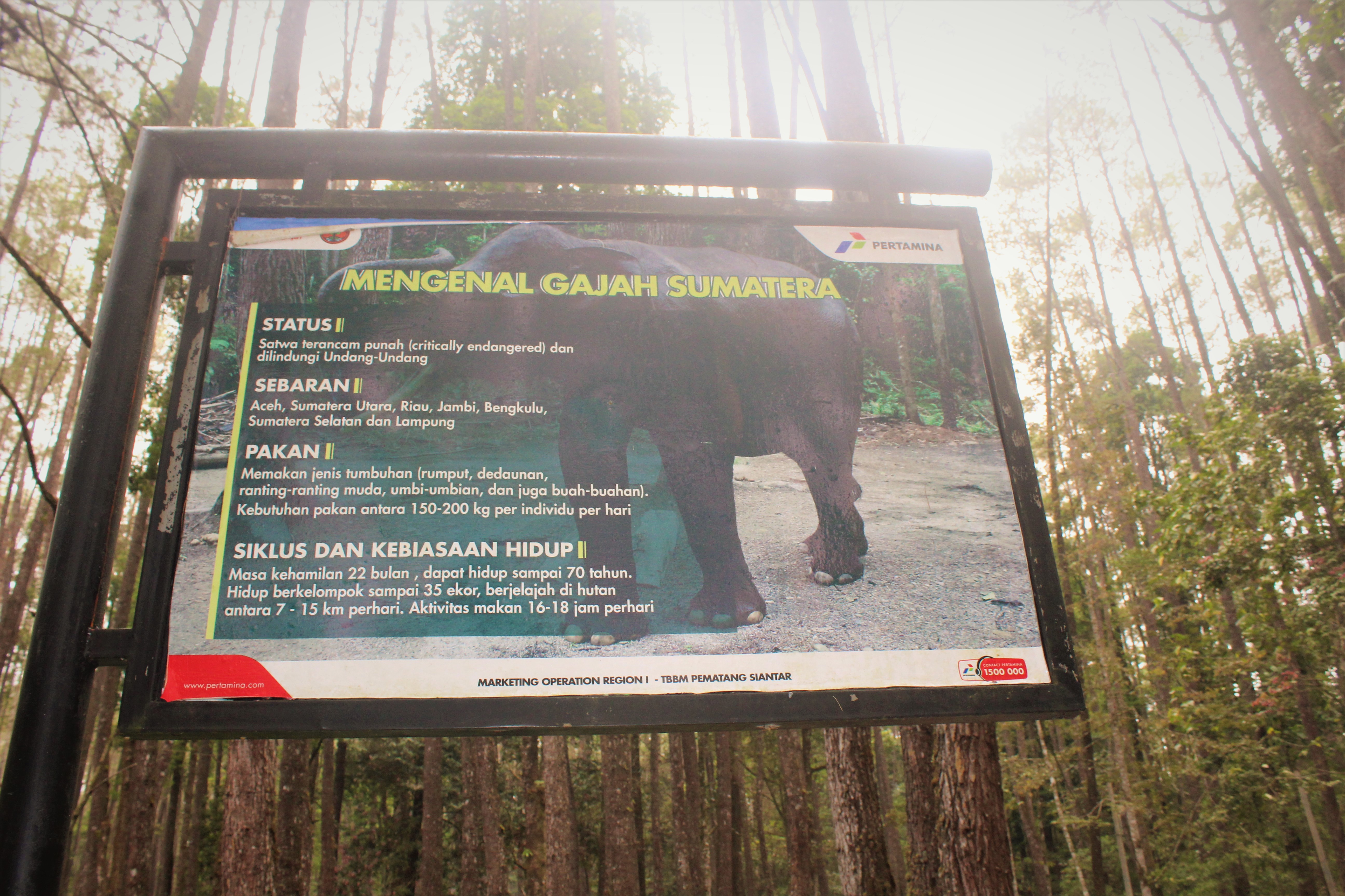 Cara Mengurus SIM A dan C di Sumatera Utara Tanpa Calo, Lengkap Biaya Resmi 2026