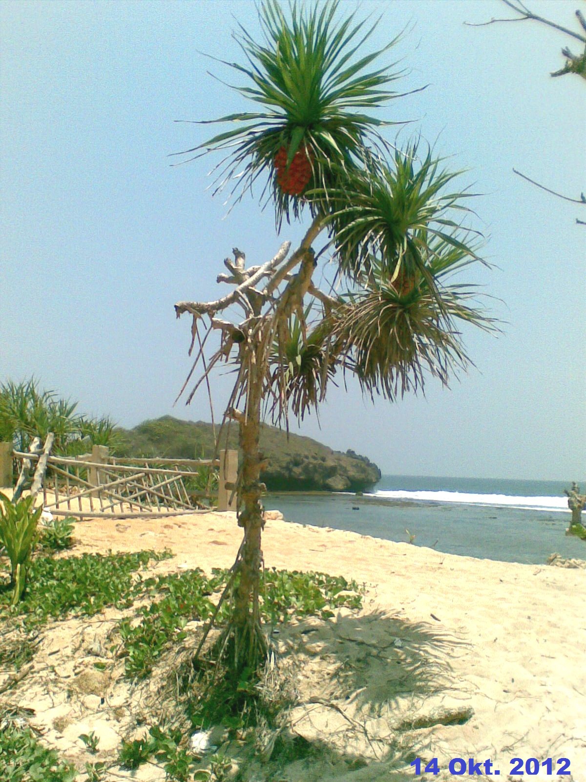 5 Pantai Surfing Terbaik di DI Yogyakarta untuk Pemula, Lengkap dengan Lokasi dan Tips Aman