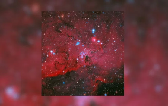 Hubble Abadikan Ribuan Bintang Muda Berkilau di Awan Gas Merah LH 95, Temukan 2.500 Bintang Belum Bereaksi Fusi