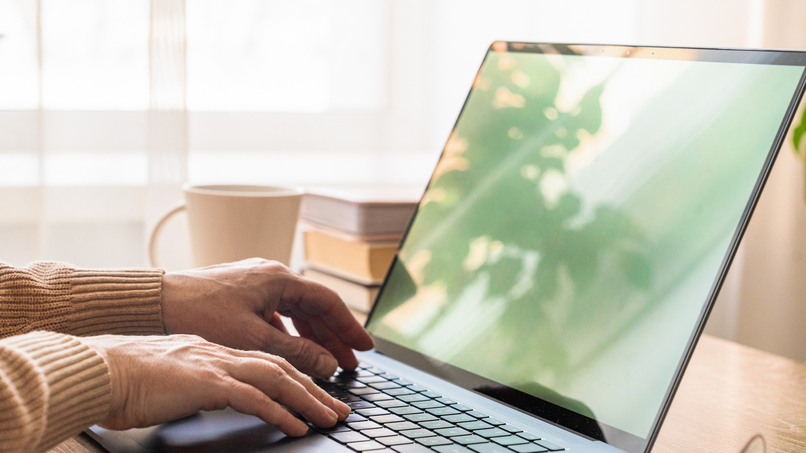 Jangan Tertipu! 4 Fitur Layar Laptop yang Tidak Perlu Anda Bayar Mahal