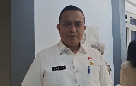 Pemprov Bengkulu Targetkan 200 Perusahaan Ikut Program Magang Nasional Batch 4, Kuota Peserta Capai 150 Ribu Orang