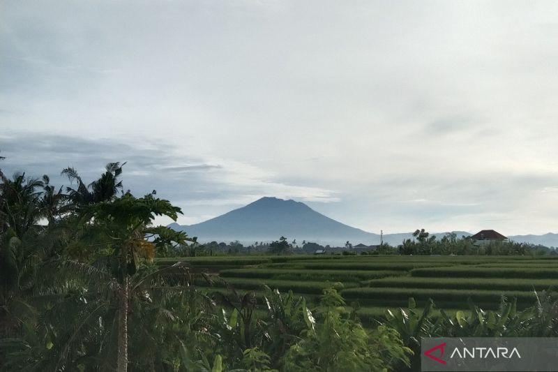 BMKG Prediksi Cuaca Cerah di Palu dan Mamuju pada Selasa, Sejumlah Kota di Sulawesi Lainnya Berawan hingga Hujan Ringan