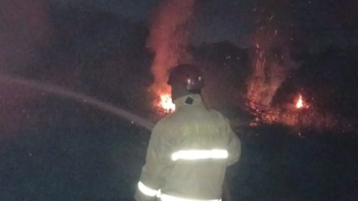 Kebakaran Lahan di Pakem Sleman Meluas, Api Berawal dari Bakar Sampah dan Merembet ke Tanah Kas Desa