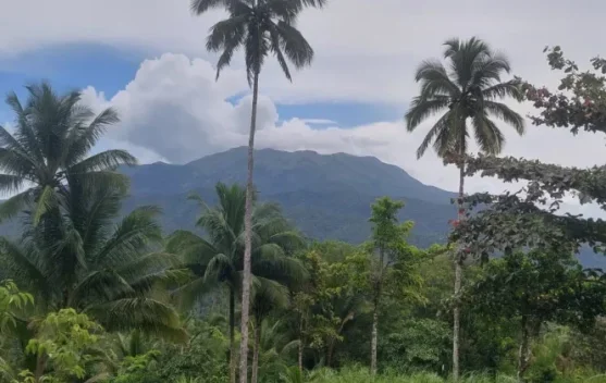 Status Gunung Awu di Sangihe Turun ke Level Waspada, Radius Bahaya 3 Kilometer Tetap Berlaku