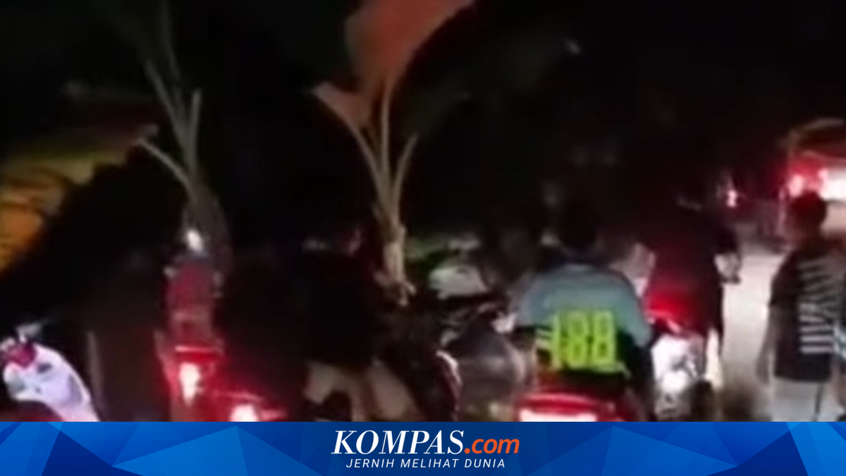 Warga Wajo Tanam Pohon Pisang di Jalan Provinsi yang Rusak Hampir 20 Tahun, Jadi Simbol Protes ke Pemprov Sulsel