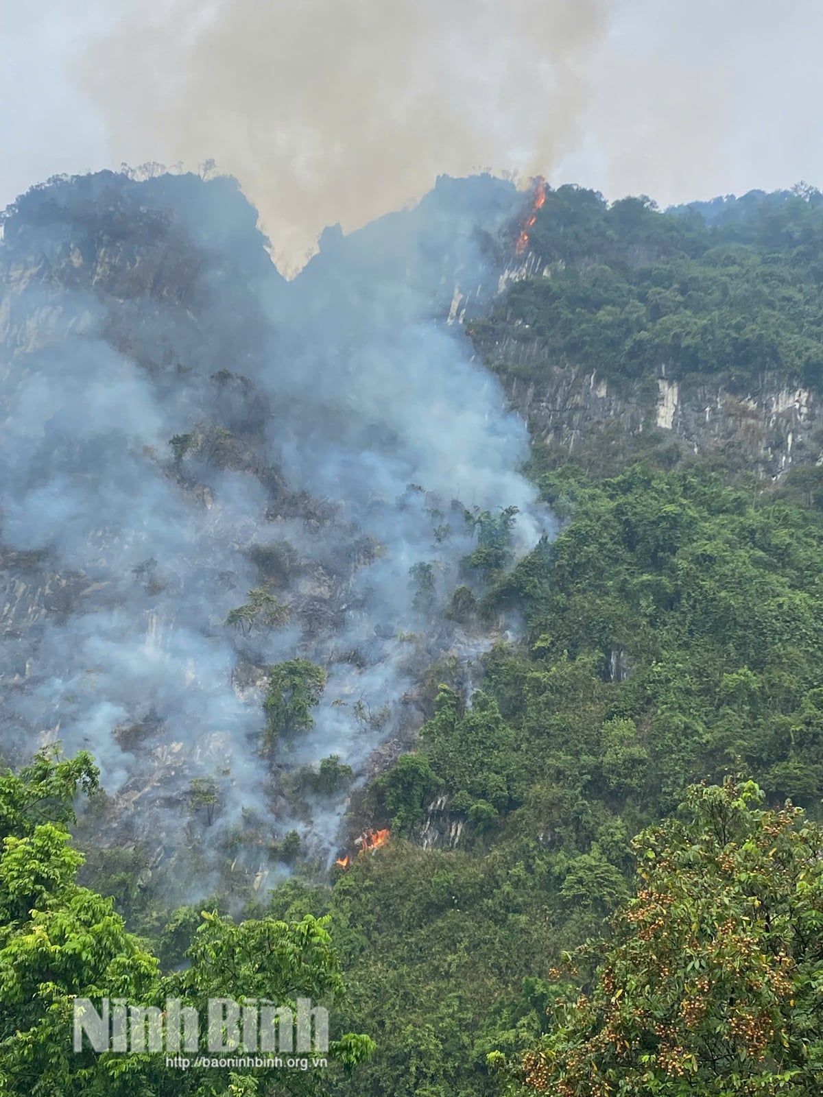 Lebih dari 200 Personel Dikerahkan Padamkan Kebakaran Hutan di Gunung Cao San, Api Sempat Padam lalu Berkobar Kembali