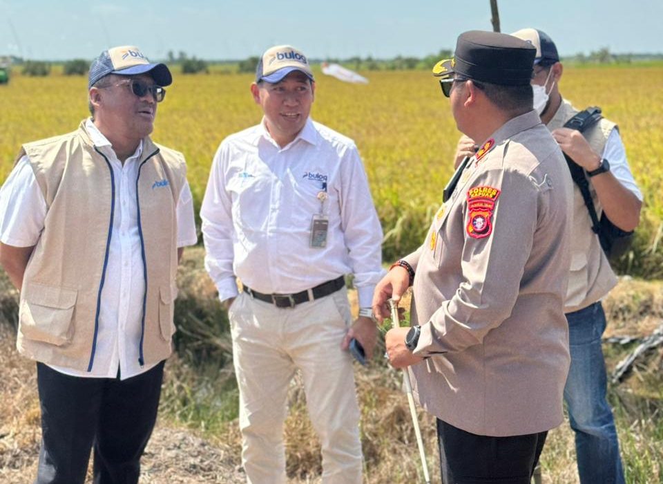 Bulog Kalteng Sudah Serap 3.803 Ton Gabah Petani di Kapuas, Target 2026 Tembus 57 Persen