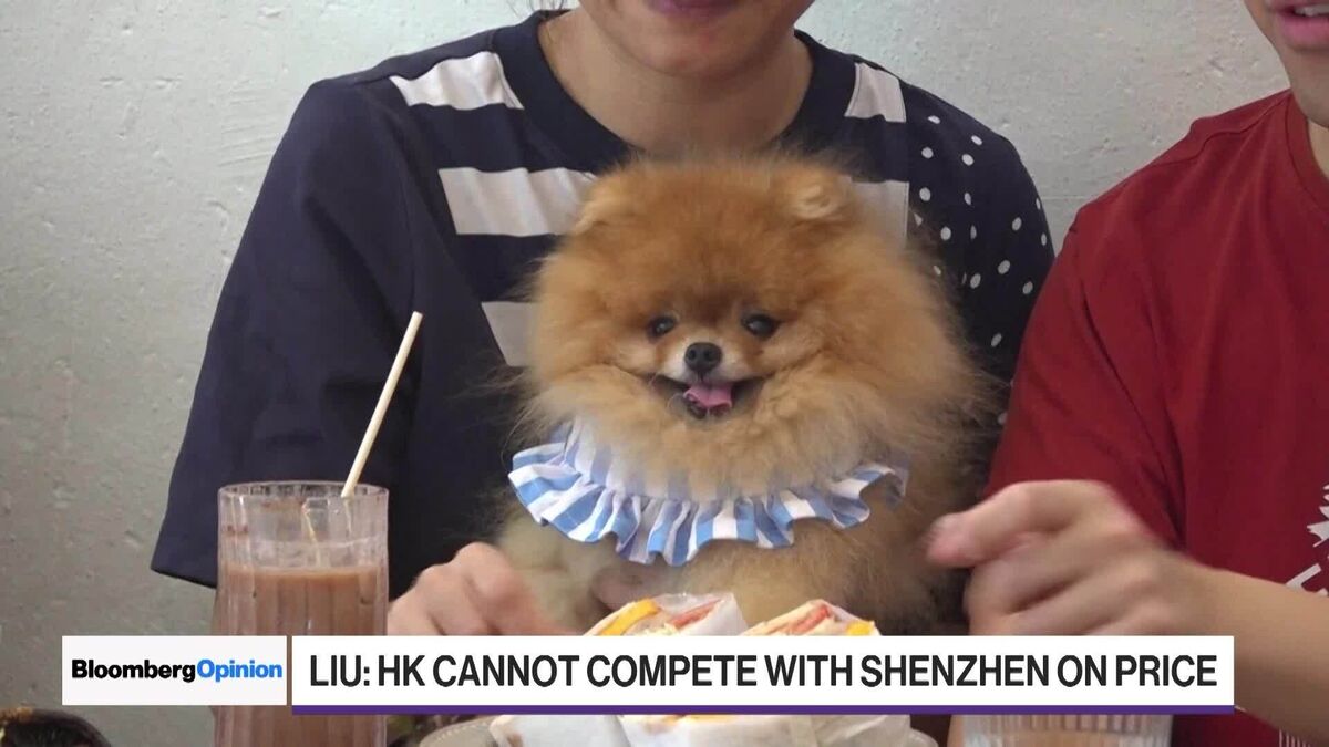 Bisnis Kuliner Hong Kong Lesu, Pemerintah Andalkan Aturan Ramah Anjing untuk Tarik Pengunjung