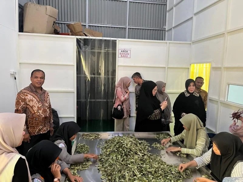 Wali Kota Banda Aceh Illiza Tinjau Langsung Produksi Capli Sambal Ijo, Targetkan Tembus Pasar Nasional