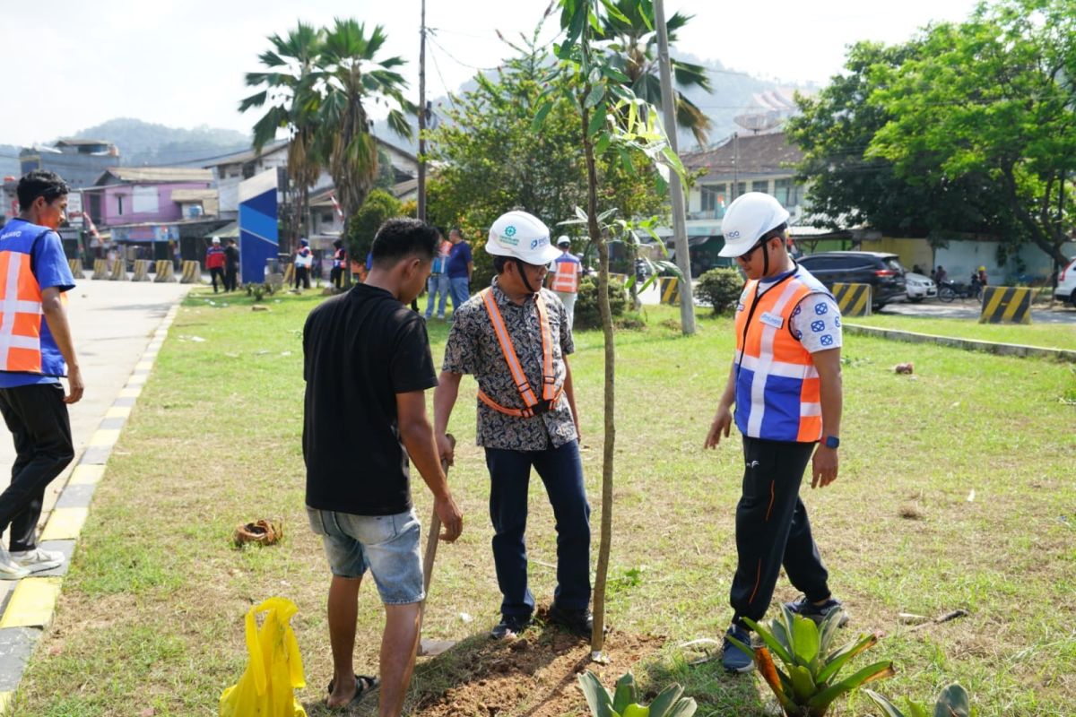 Pelindo Tanam 250 Pohon di Pelabuhan Panjang, Target Serap Karbon Lebih Terukur