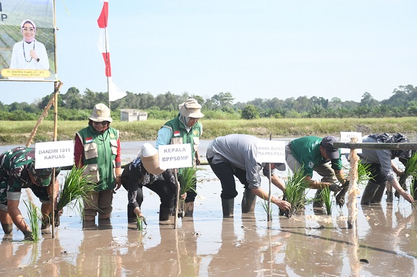 Wabup Pulang Pisau Tanam Padi Perdana di Lahan Cetak Sawah Rakyat, Targetkan Produksi Beras Naik 20 Persen
