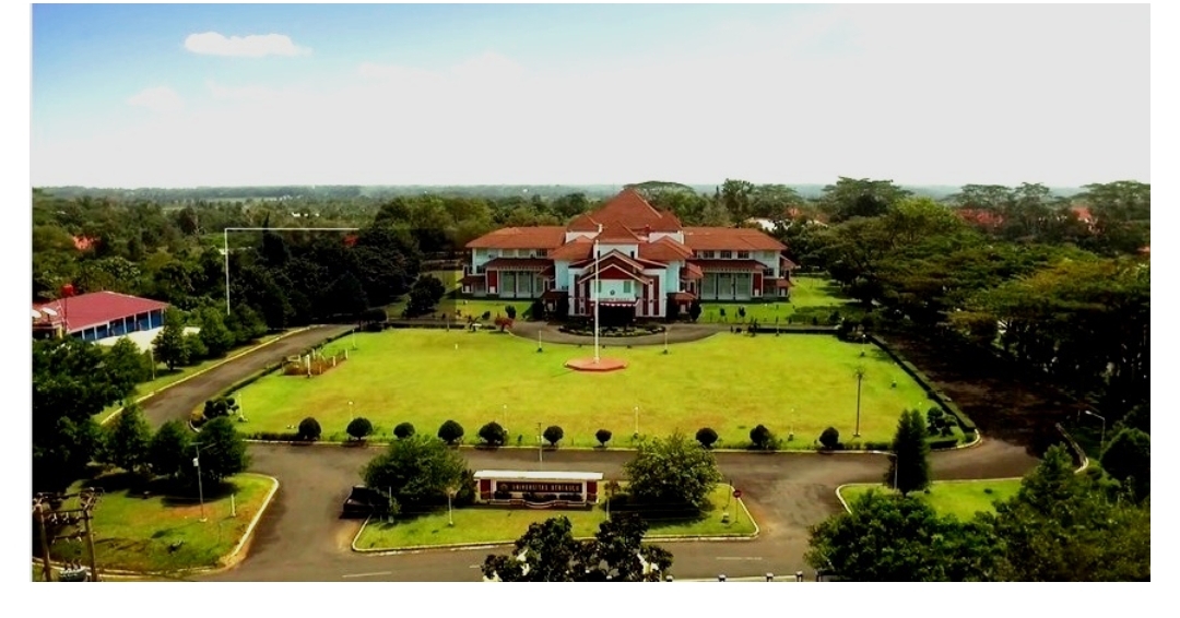 4.813 Pendaftar Asing dari 60 Negara, Universitas Bengkulu Buktikan Reputasi Global Makin Menguat