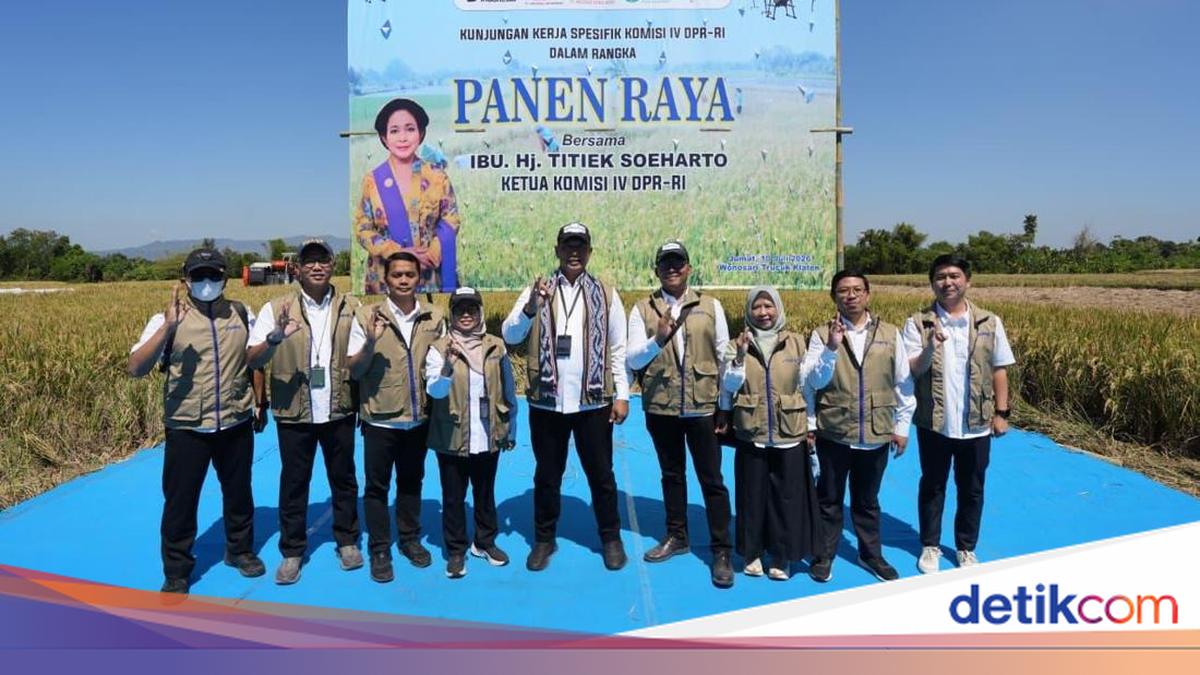 Stok Beras Tembus 5,4 Juta Ton, Bulog Serap 3,2 Juta Ton Gabah Petani di Semester I 2026
