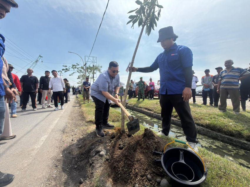 Pelindo Tanam 2.500 Pohon di Pesisir Belawan, Targetkan Kawasan Pelabuhan Lebih Hijau