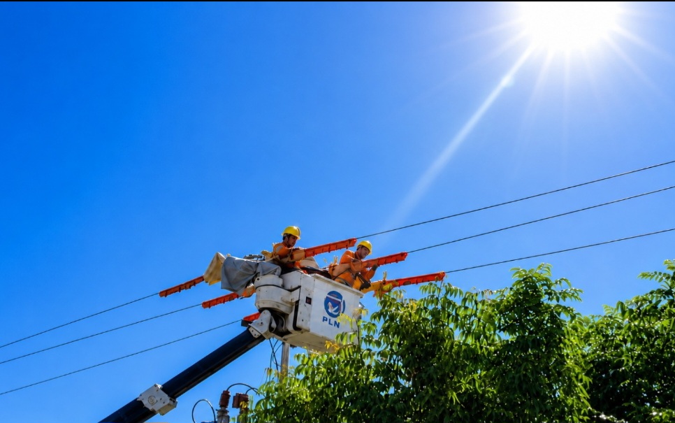 PLN NTB Pasang Jumper dan Arrester di Sumbawa, Perkuat Jaringan Listrik Tanpa Padamkan Pelanggan