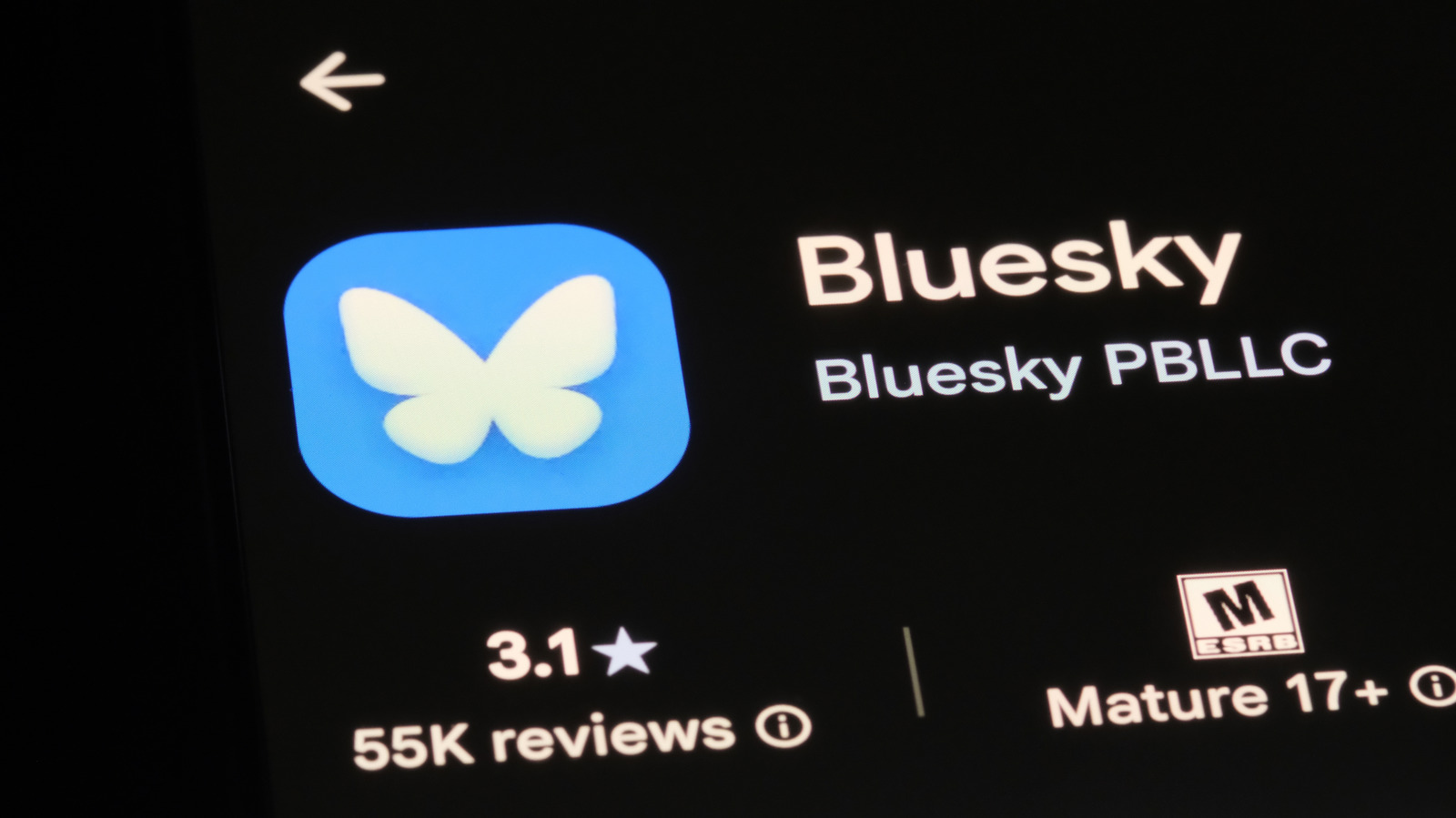 Bluesky Resmi Punya CEO Baru, Toni Schneider Ambil Alih Permanen dari Jay Graber