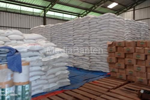 Perum Bulog Lebak-Pandeglang Serap 40.000 Ton Gabah Petani, Perputaran Uang Capai Rp300 Miliar