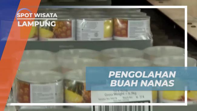 Mengintip Proses Pengolahan dan Packing Nanas Modern di Pabrik Lampung, Alat Canggih Jadi Andalan