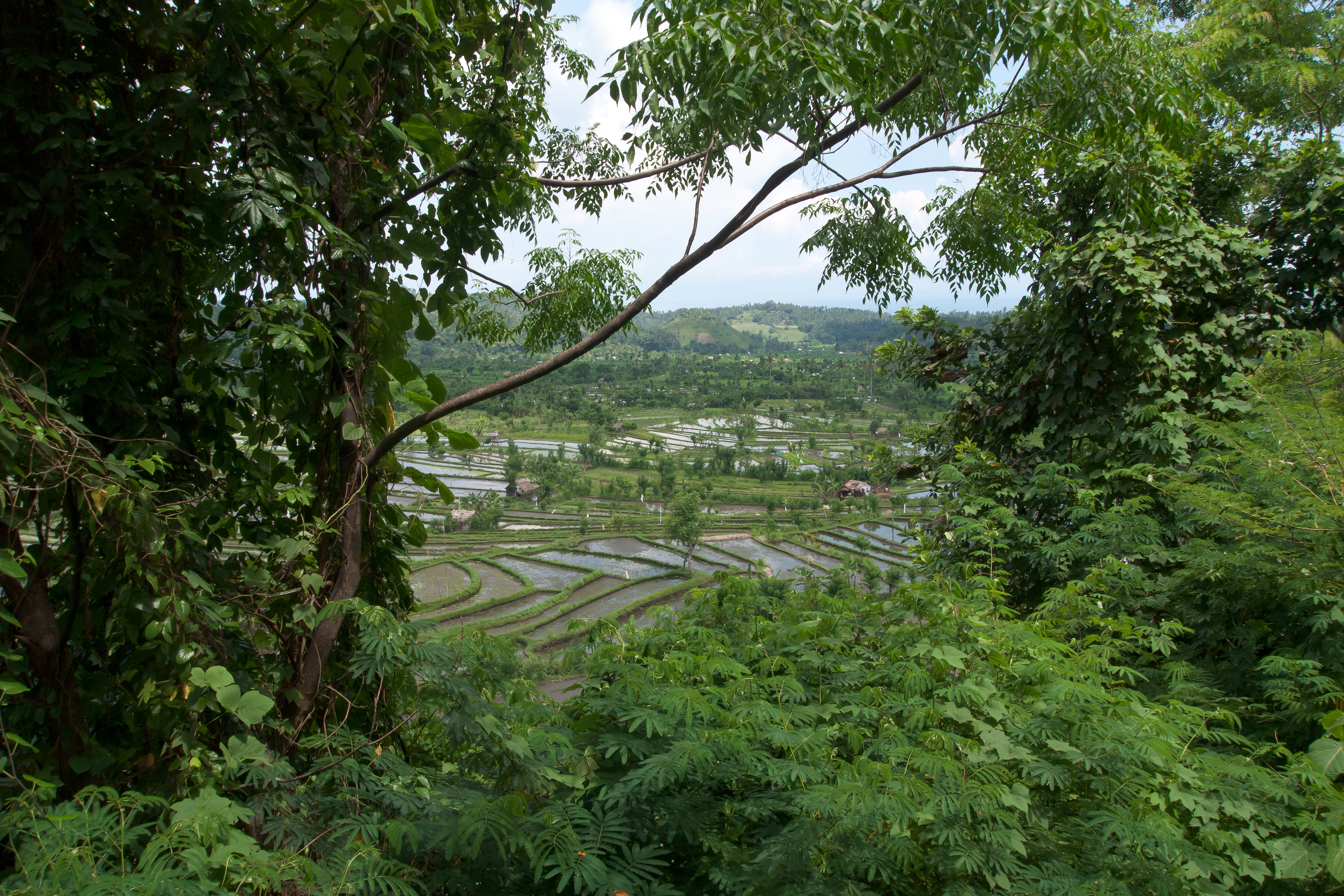 7 Perumahan Subsidi di Bali untuk Milenial, Lengkap dengan Kisaran Harga dan Lokasi Strategis