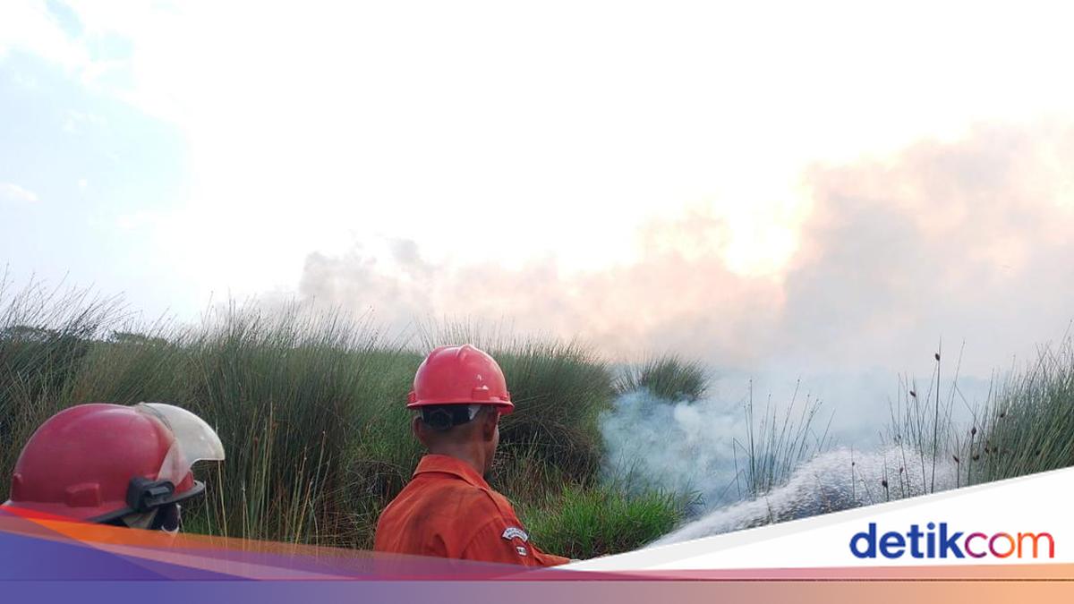 Karhutla Ogan Ilir Hanguskan 15 Hektare Lahan, Petugas Manggala Agni Berjibaku Padamkan Api di Desa Lorok