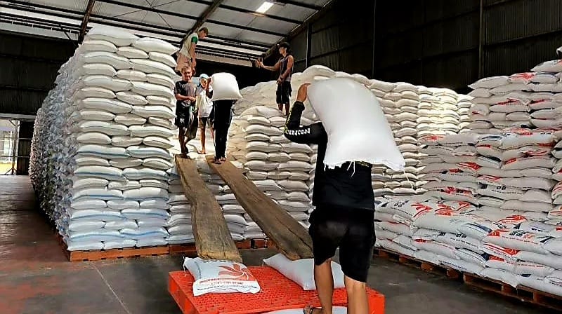 BULOG Jatim Serap 884.559 Ton Gabah Petani, Target Tembus 100 Persen di Tengah Musim Panen