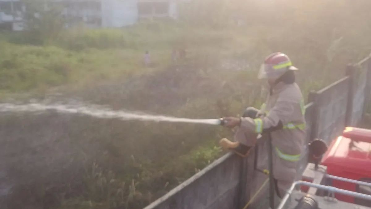 13 Titik Panas Terdeteksi di Lampung, Way Kanan Paling Rawan Karhutla dengan 8 Hotspot Level Tinggi