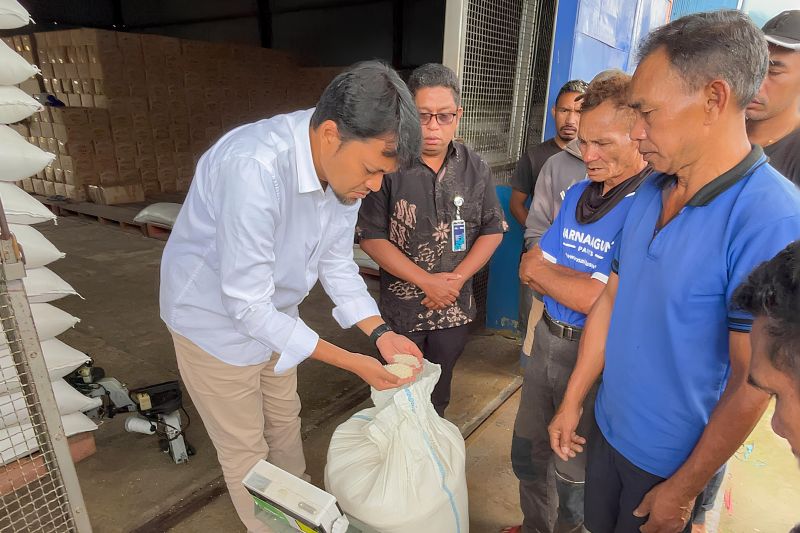 Bulog NTT Serap 7.407 Ton Beras Petani, Lampaui Target Swasembada Pangan 2026