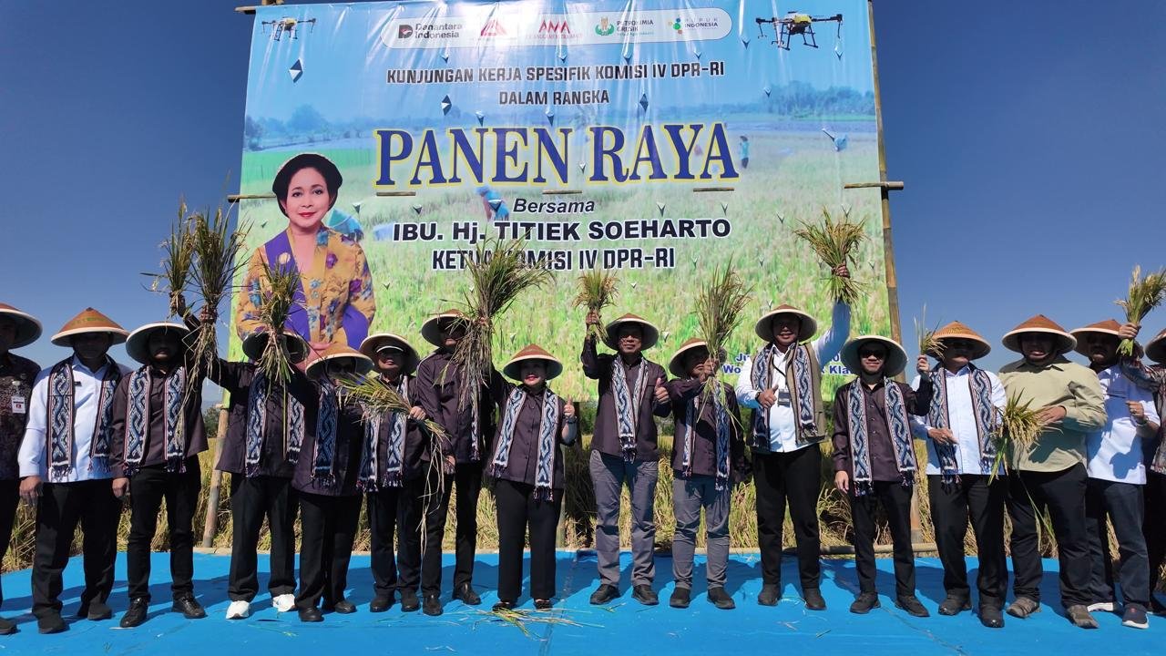 Bulog Serap 3,2 Juta Ton Gabah Petani di Semester I 2026, Stok Beras Nasional Tembus Rekor 5,4 Juta Ton