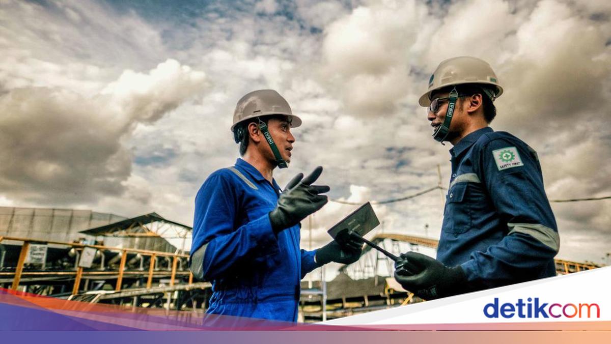 Bisnis Batu Bara dan Mineral Dorong Pendapatan SUCOFINDO Tembus 104,2% dari Target di 2025