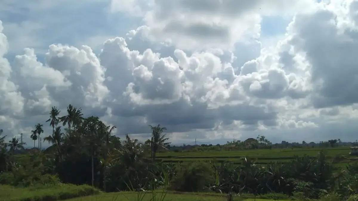 Prakiraan Cuaca Bali Rabu 15 Juli 2026: Wilayah Cerah Dominasi, Suhu Capai 32 Derajat, Waspada Kelembapan Tinggi di Bangli