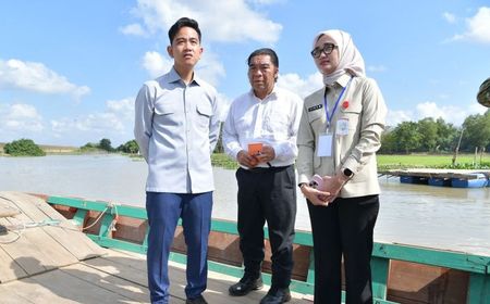 Wapres Gibran Tinjau Jembatan Way Bungur di Lampung Timur, Janji Jembatan Darurat Rampung Akhir Juli 2026
