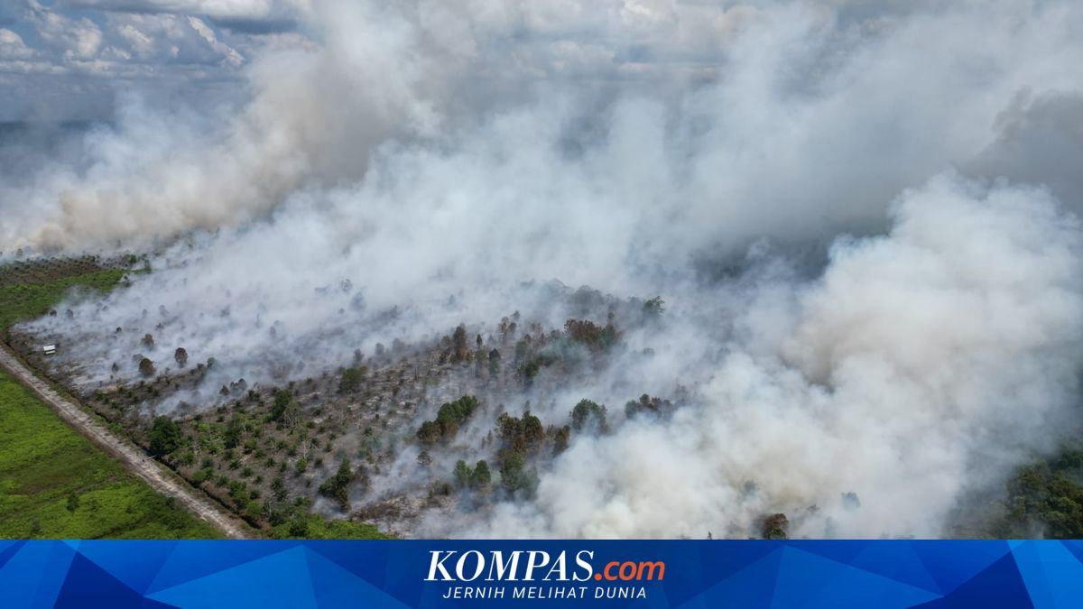 BPBD Kalteng Catat 640 Bencana hingga Juli 2026, Karhutla Dominasi dengan 435 Kejadian