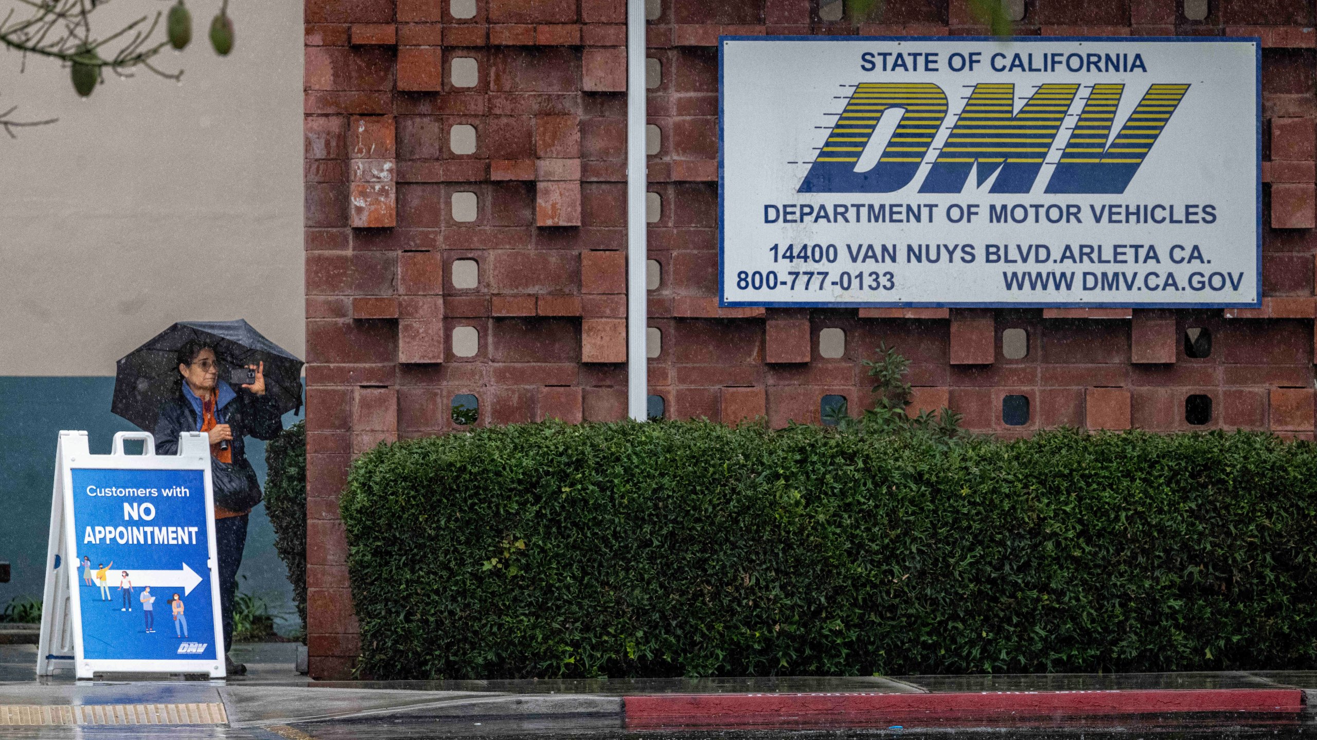 California DMV Ancam Cabut SIM 11.000 Pengemudi Akibat Kecurangan Massal Ujian Teori