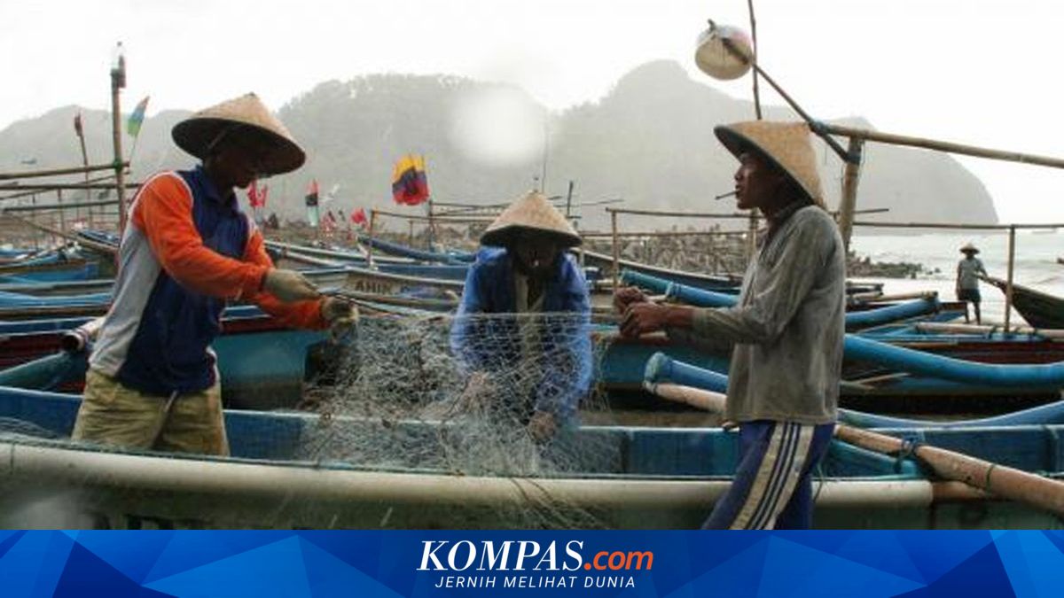 Harga Solar Khusus Nelayan Rp 15.000 Per Liter Resmi, HNSI: Biaya Operasional Turun