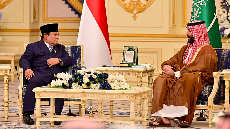 Arab Saudi Naikkan Bea Masuk 51 Komoditas Pangan, Kemendag Bidik Ekspor Kerupuk Udang