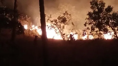 Kebakaran Landa 100 Hektare Sabana di Labuan Bajo, Petugas Padamkan Api Sepanjang Malam