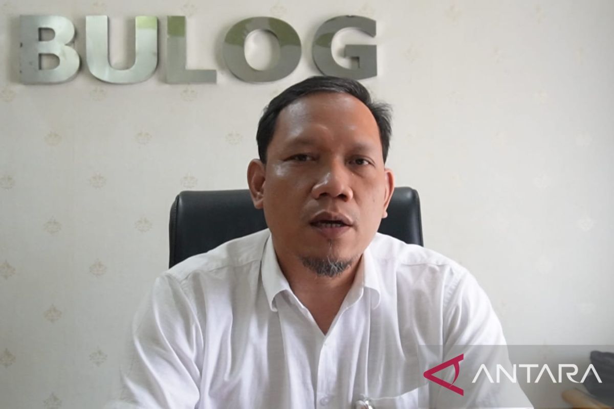 Bulog Bangka Serap 3.300 Ton Gabah Petani Bangka Selatan, Stok Beras Pulau Bangka Aman hingga 3 Bulan