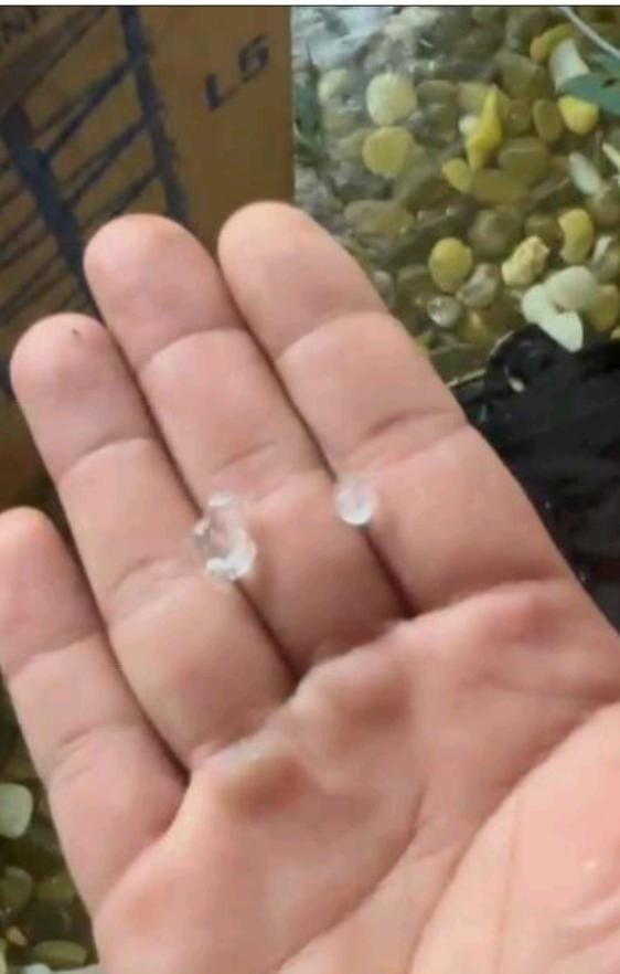 BMKG Juwata Tarakan Ungkap Penyebab Hujan Es di Krayan: Suhu Laut Hangat hingga Gelombang Kelvin Picu Awan Cumulonimbus