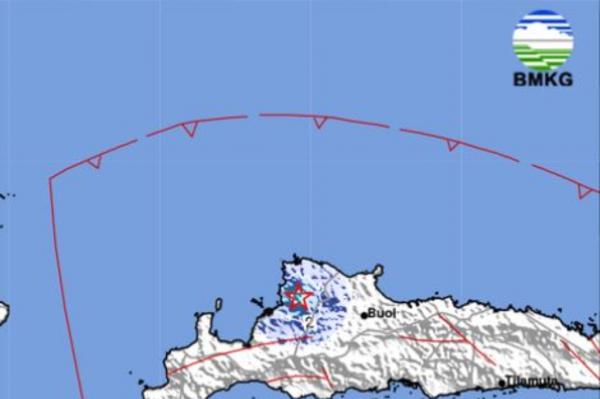 Gempa Magnitudo 3,8 Guncang Toli-Toli Sulawesi Tengah, Getaran Skala II-III MMI Terasa Cukup Kuat