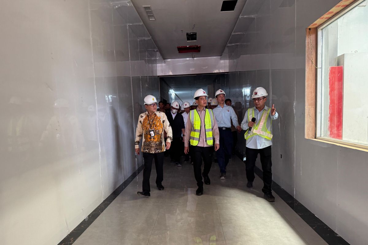 Wapres Gibran Tinjau PSEL Keramasan Palembang, Pastikan Progres 89,16 Persen Tepat Sasaran