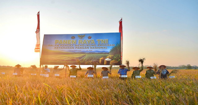 Brigjen TNI Sumarlin Marzuki Dampingi Petani di Lampung Tengah Panen Raya Bersama Presiden, 43 Titik Tersambung Virtual