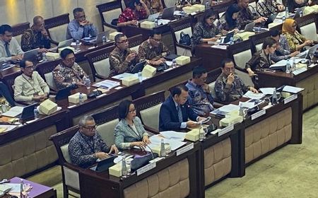 Guru Besar Unair: Pengawasan Berlapis PFII Kunci Cegah Celah Penghindaran Pajak