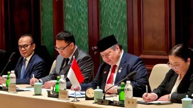 China Diajak Danantara Garap Proyek PLTS 100 GW, Ini Peluang bagi Industri Panel Surya RI